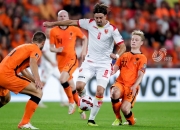 开云体育中国-荷兰大胜波斯尼亚，小组第一无望成定局的简单介绍