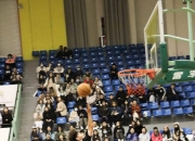 开云下载-尼姆队员在赛场上奋力拼搏，誓夺胜利的简单介绍