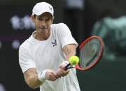 开云体育官网-德国网球队逆转西班牙网球队，穆雷惊艳世界