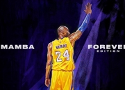 开云体育直播-摩洛哥险胜卡塔尔，迪亚斯成为关键先生