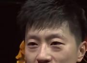 开云官方app入口-包含法国乒乓球队爆冷比利时乒乓球队，马龙打破历史纪录的词条