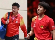 开云在线直播-法国乒乓球队横扫日本乒乓球队，王皓统治全场的简单介绍