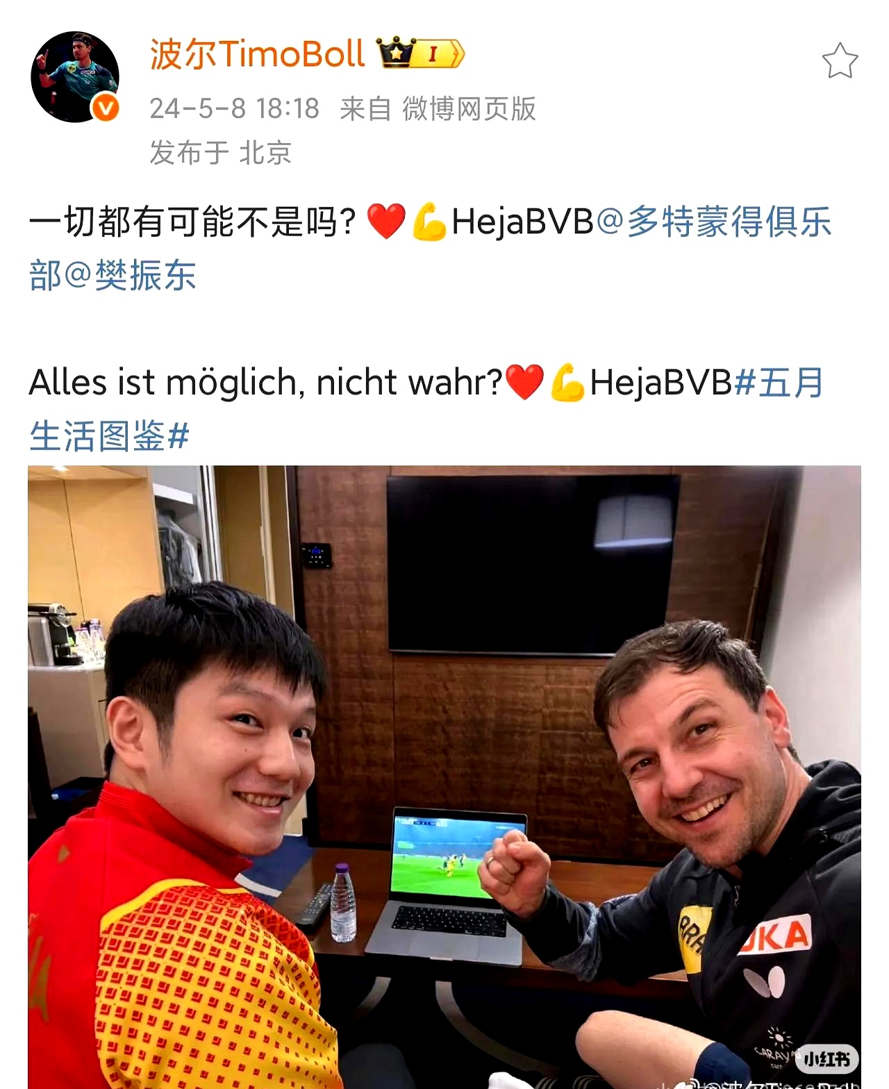 奥地利乒乓球队完胜德国乒乓球队,波尔统治全场 奥地利乒乓球队完胜德国乒乓球队,波尔统治全场