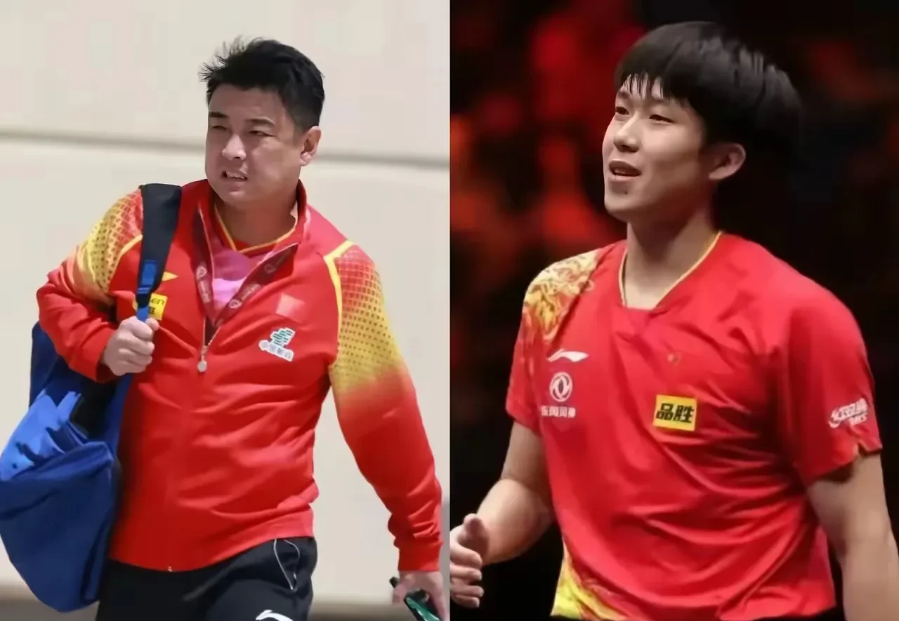 法国乒乓球队横扫日本乒乓球队，王皓统治全场的简单介绍
