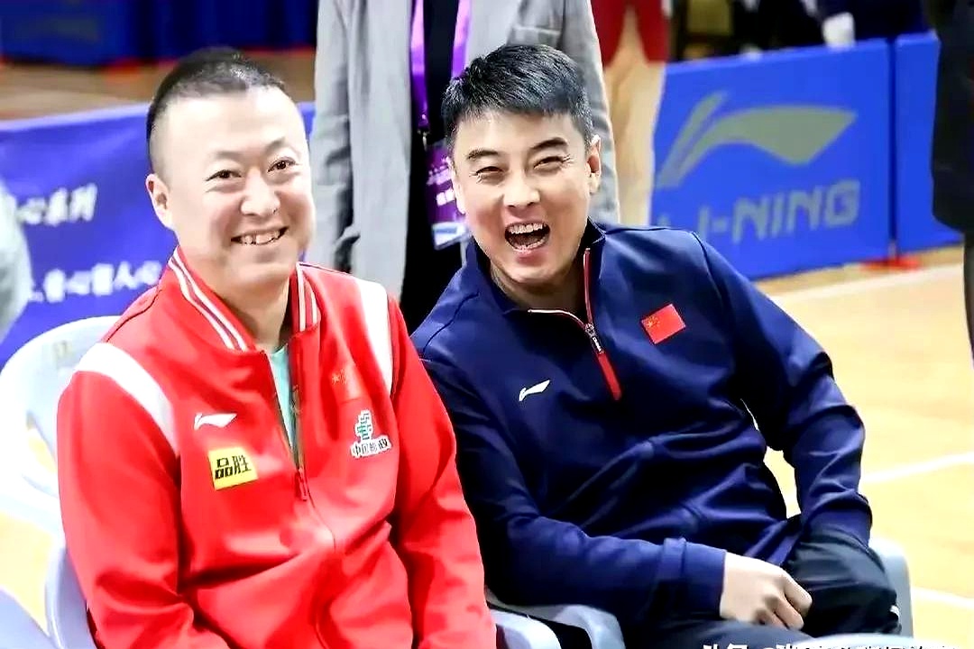 法国乒乓球队横扫日本乒乓球队，王皓统治全场的简单介绍