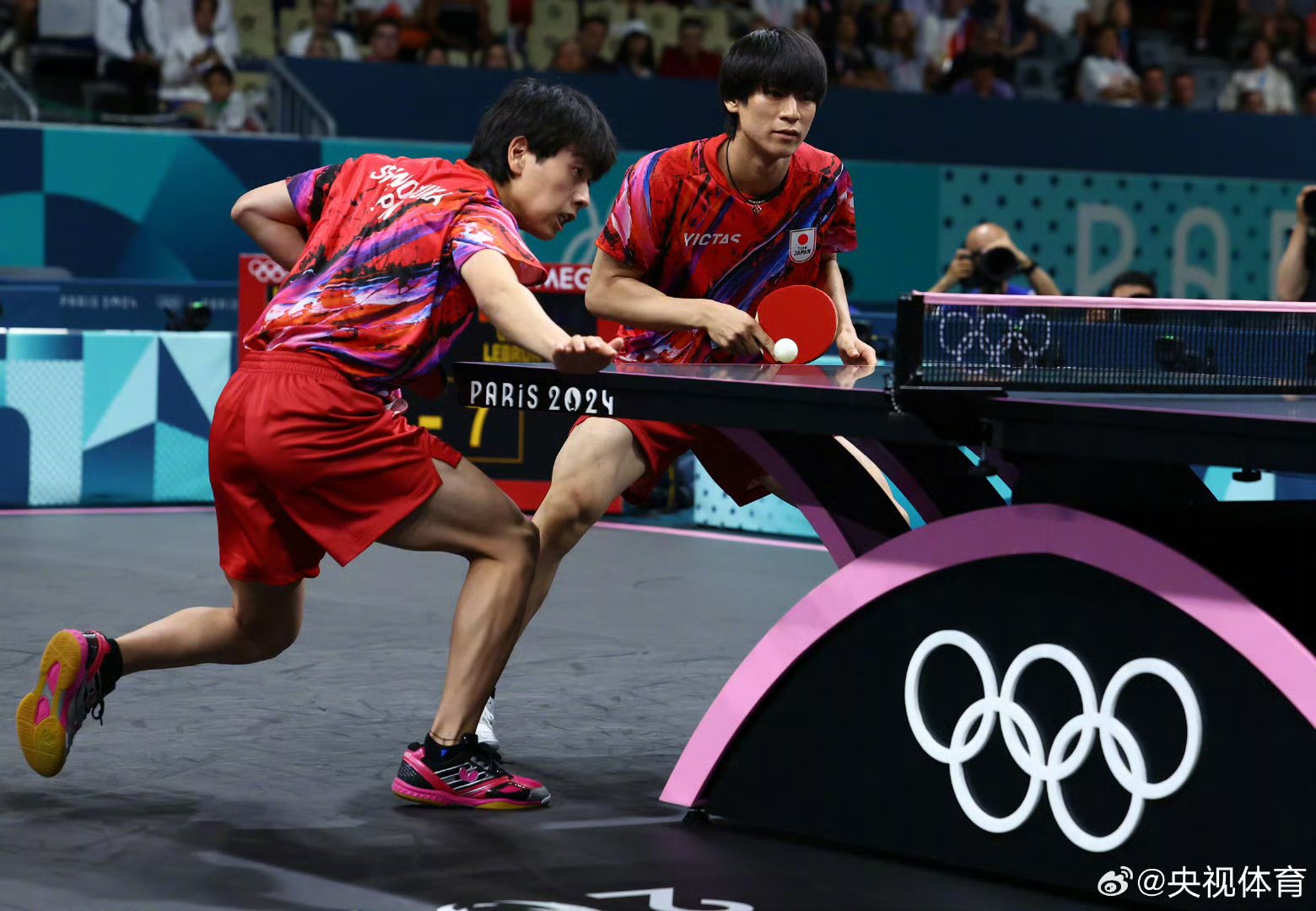 关于德国乒乓球队横扫法国乒乓球队，波尔关键制胜的信息