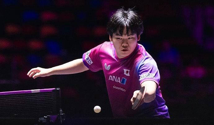 关于比利时乒乓球队逆转法国乒乓球队，王皓制霸全场的信息