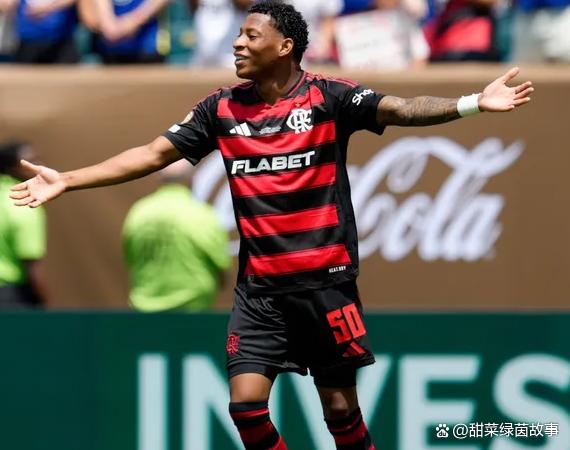 包含巴西甲级联赛，圣保罗迎战弗拉门戈的词条