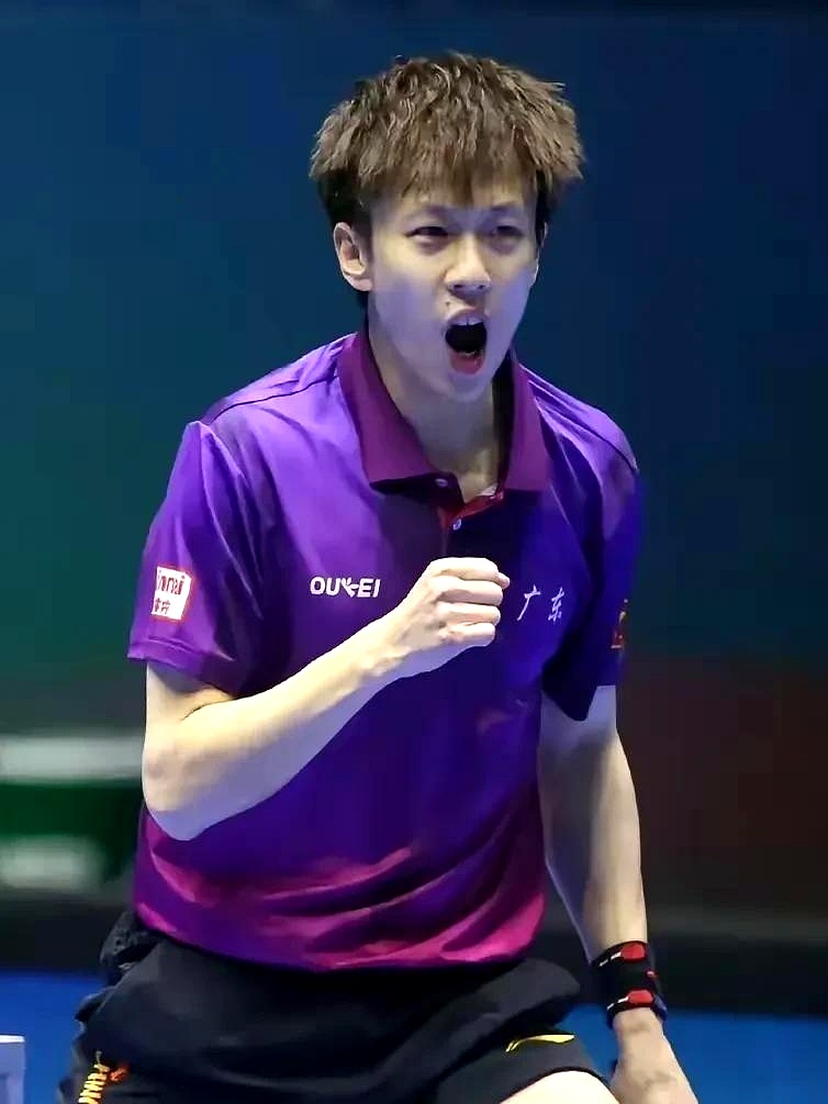 包含葡萄牙队逆转奥地利队，林高远点燃赛场的词条