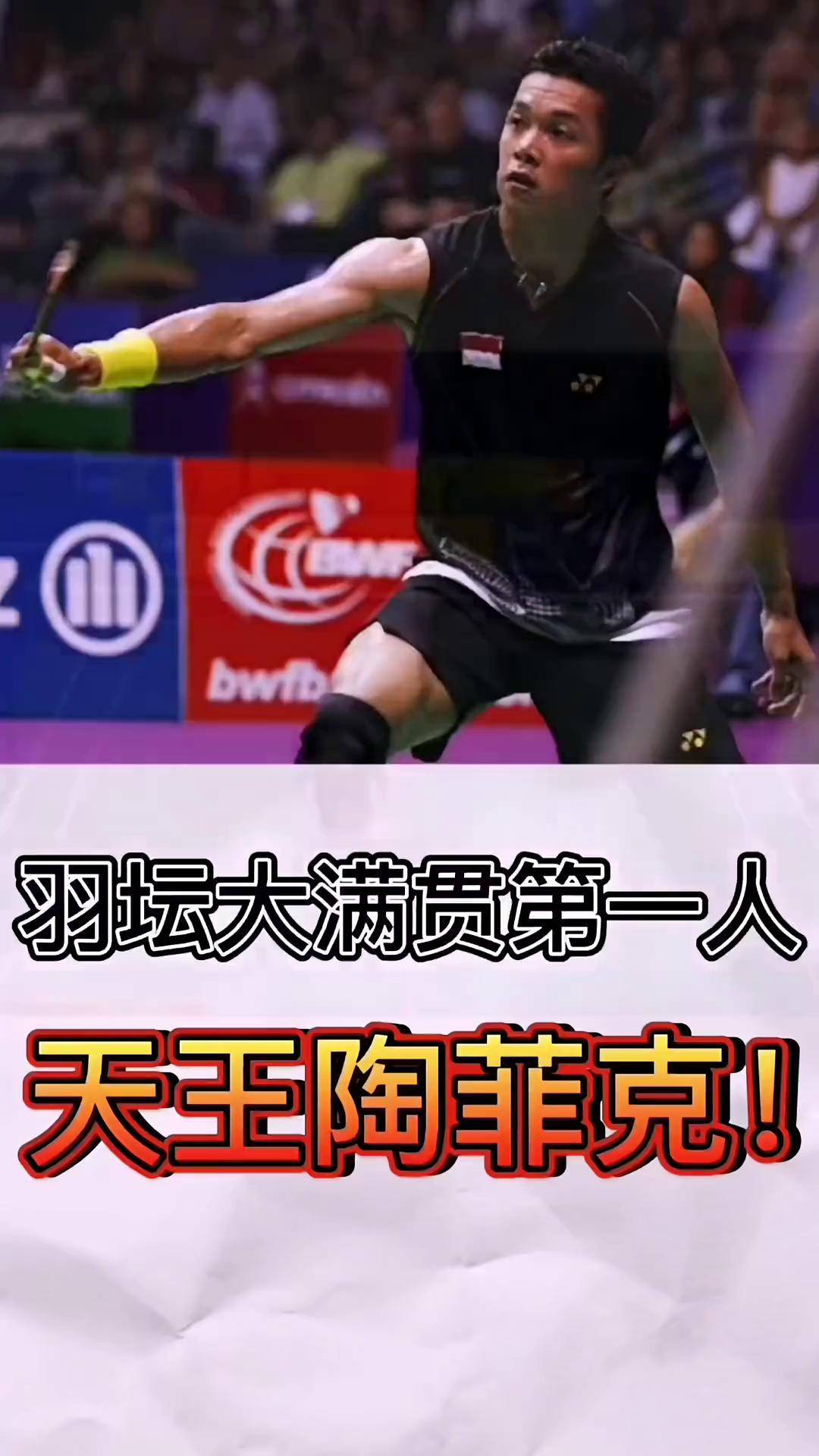 法国羽毛球队绝杀印尼羽毛球队，陶菲克绝境逆转的简单介绍