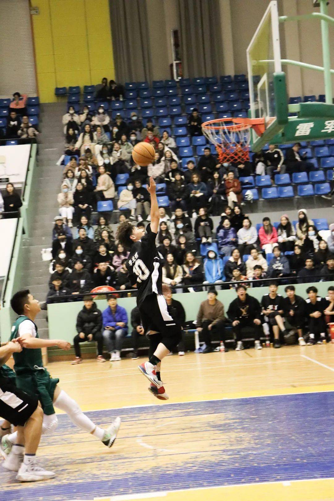 尼姆队员在赛场上奋力拼搏，誓夺胜利的简单介绍