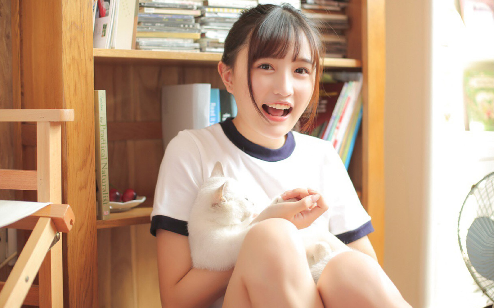 冠军级表现！广厦队以贝恩式战术体系打穿广东队，诠释现代篮球唯一性