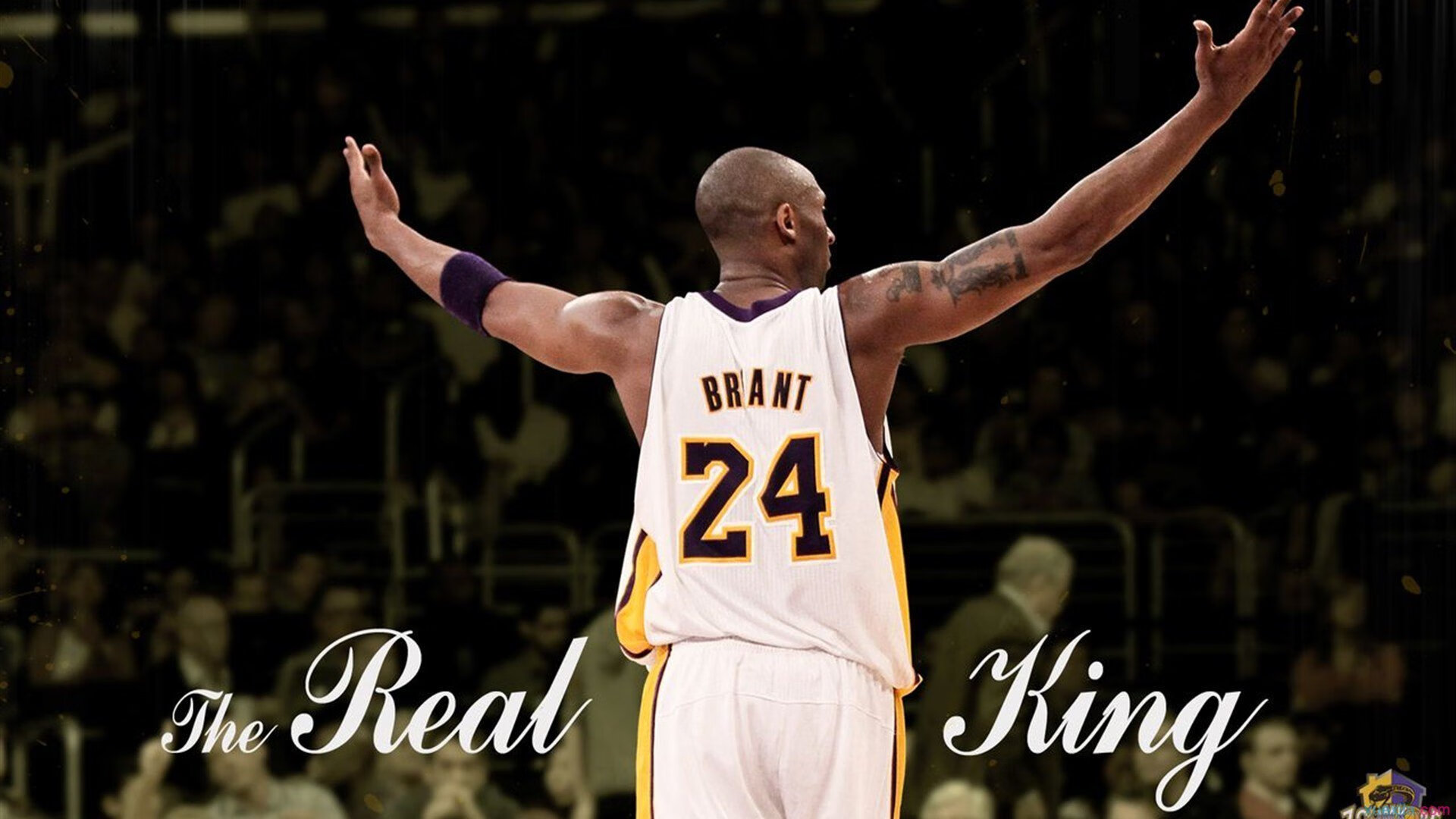 从草地到硬地,梅德韦杰夫美网横扫温网,点燃赛场的新王者宣言