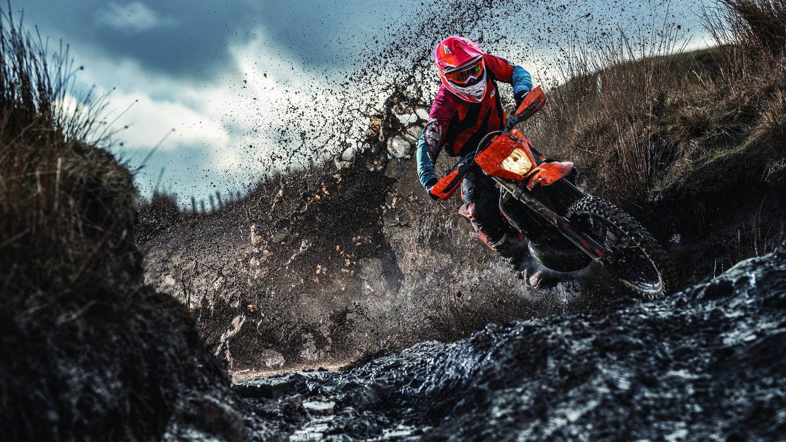 特奥的觉醒,压力之下,南非如何跨越新西兰的橄榄球高峰